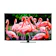 シャープ 4K有機ELテレビ ES1ライン 1