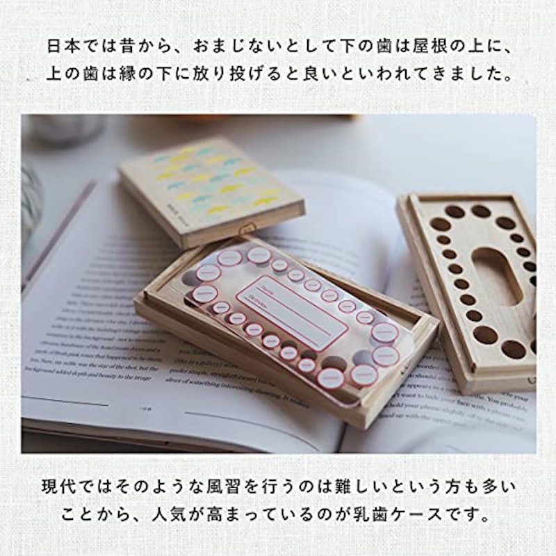 乳歯ケース 国産桐箱使用 5
