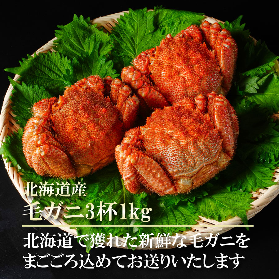 毛ガニ三昧 3杯1kg 2