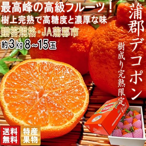 樹上完熟 蒲郡デコポン 2