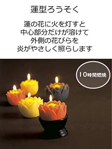 ろうそく 蓮の花 5