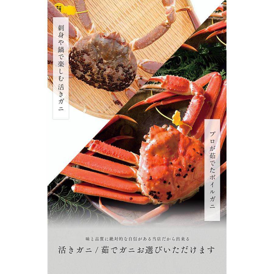 越前ガニ 3