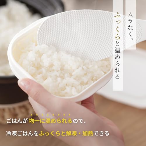 極 冷凍ごはん容器 2