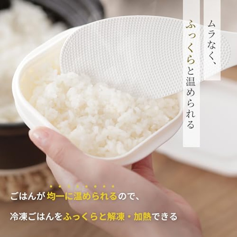 極 冷凍ごはん容器 2