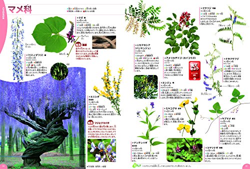 22年 植物図鑑のおすすめ人気ランキング15選 Mybest