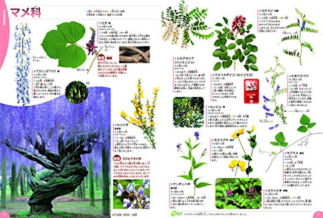 22年 植物図鑑のおすすめ人気ランキング15選 Mybest 22年 植物図鑑のおすすめ人気ランキング15選 Mybest