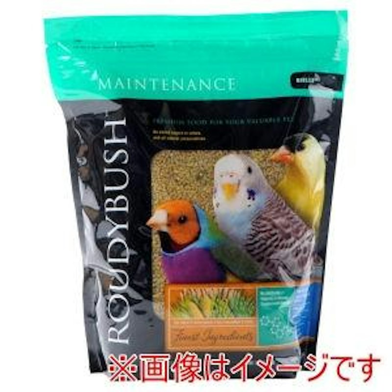 デイリーメンテナンス ニブルズ 1
