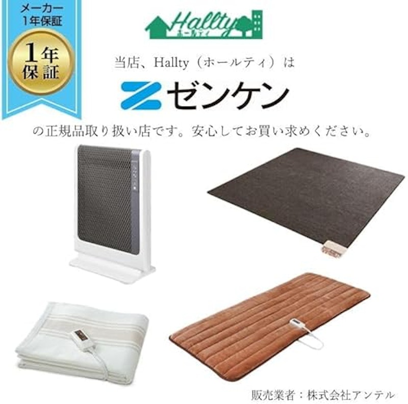 電気ホットカーペット 2