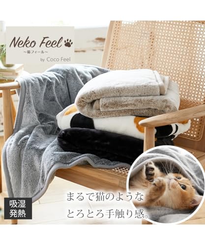 まるで猫！のようなモフモフブランケッㇳ 2