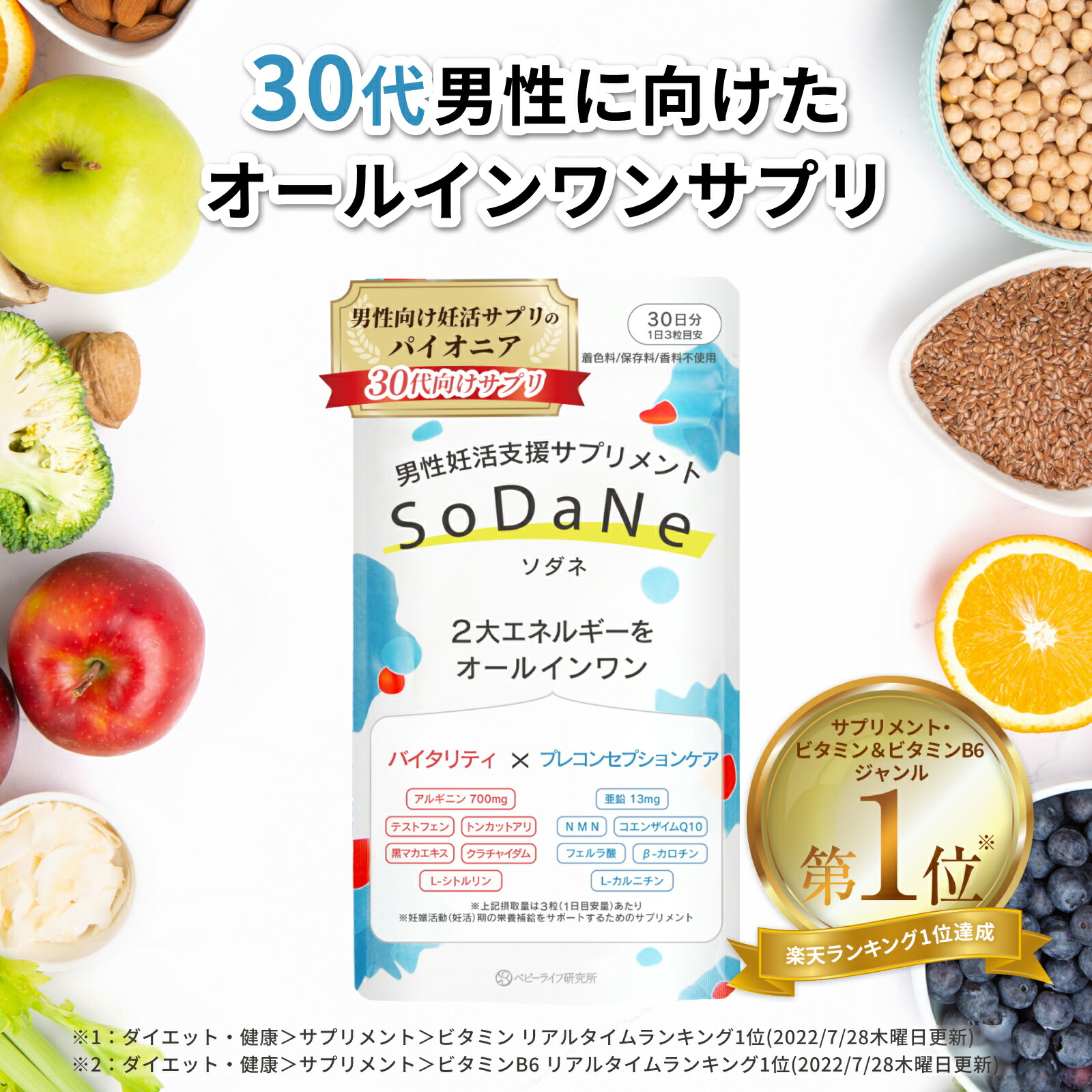 SoDaNe 1