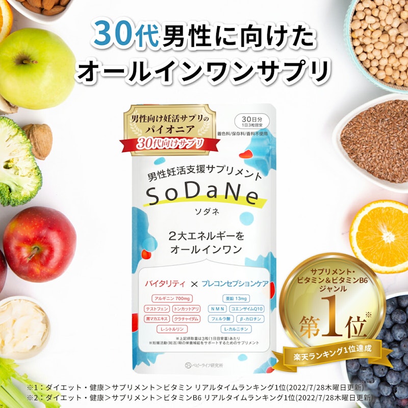 SoDaNe 1