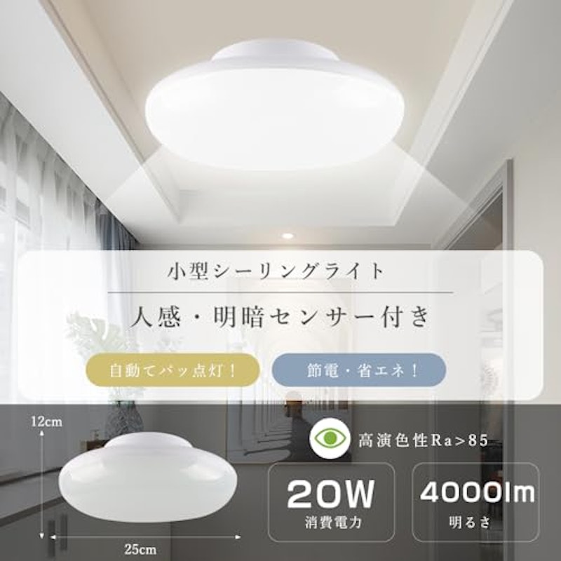 シーリングライト 2