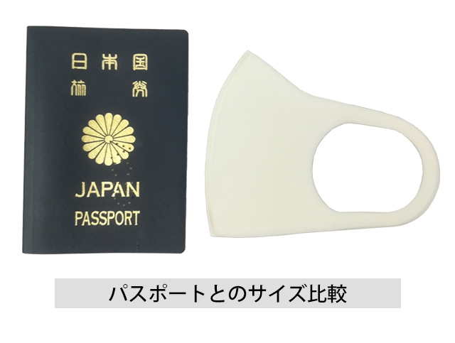 洗って使える立体マスク 10