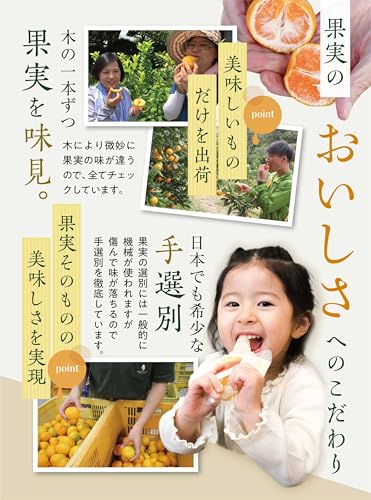 なちゅるん 和歌山県産 飲むジェリー 5