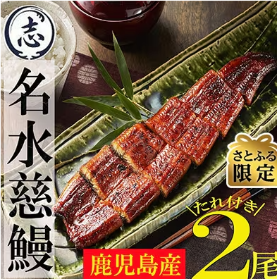 鹿児島県産 うなぎ蒲焼 1