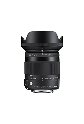 18-200mm F3.5-6.3 DC MACRO OS HSM｜Contemporary 2