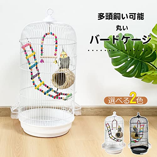 バードケージ 8