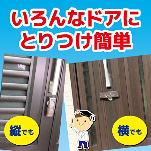 玄関用 366日 4
