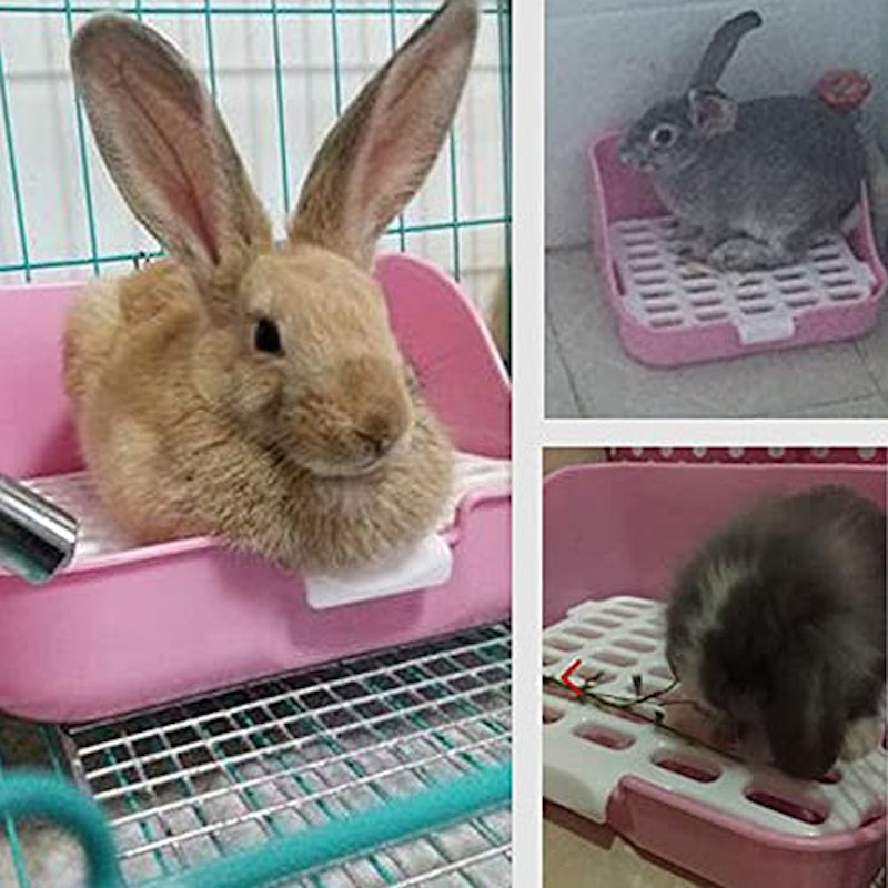 うさぎトイレ 9