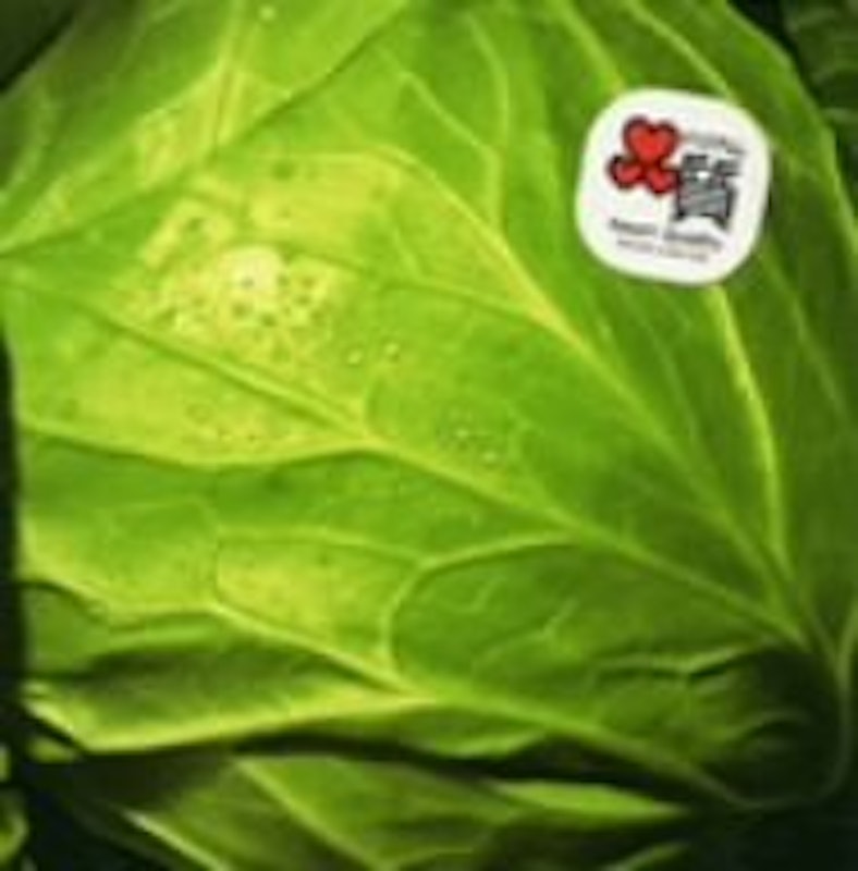 22年 応援ソングのおすすめ人気ランキング50選 Mybest 22年 応援ソングのおすすめ人気ランキング50選 Mybest