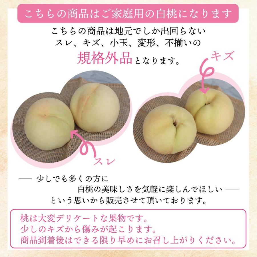 白桃 2