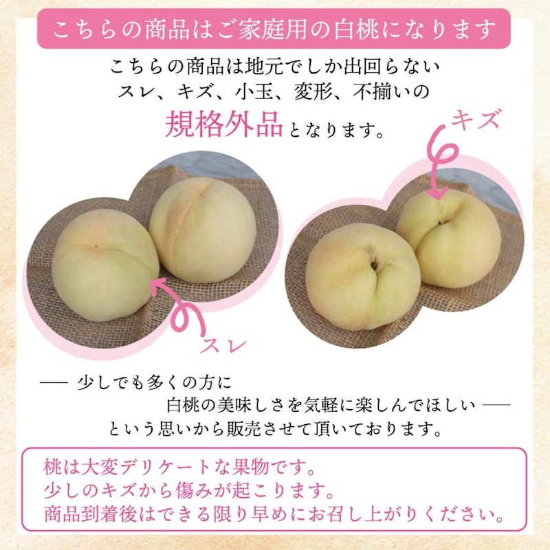 白桃 2
