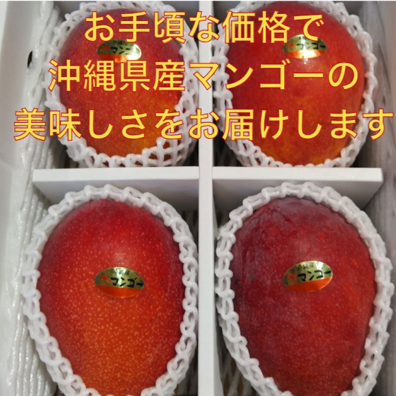 マンゴー 金蜜 1