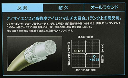 NANOGY 98 2