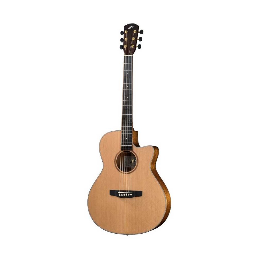 モーリスのアコギのおすすめ人気ランキング【2025年12月】 | マイベスト