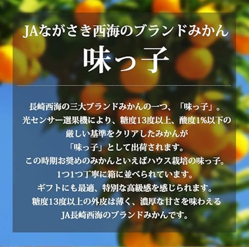 味っ子 3