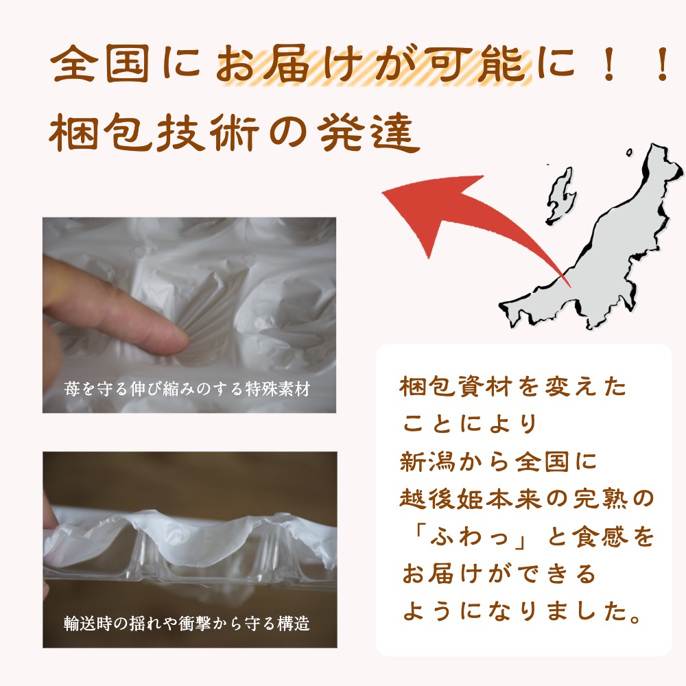 雪国完熟いちご越後姫桃薫食べ比べセット 8