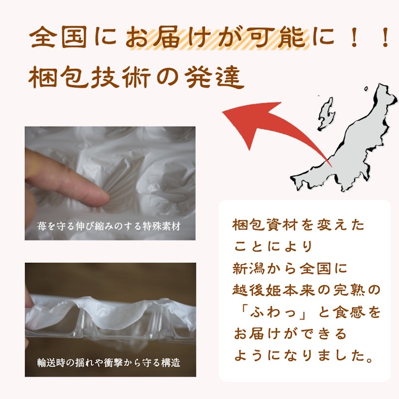 雪国完熟いちご越後姫桃薫食べ比べセット 8