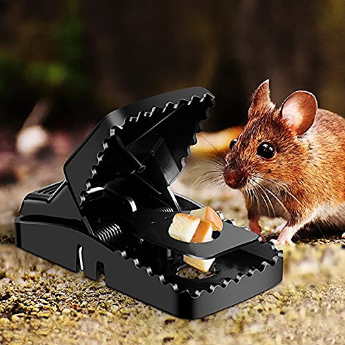 ネズミ捕獲器 2