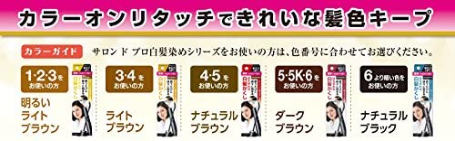 カラーオンリタッチ 白髪かくしEX 4