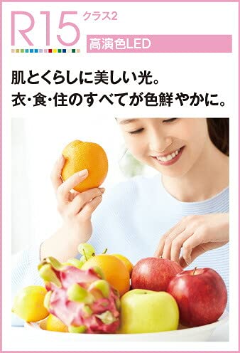 ダウンライト 3