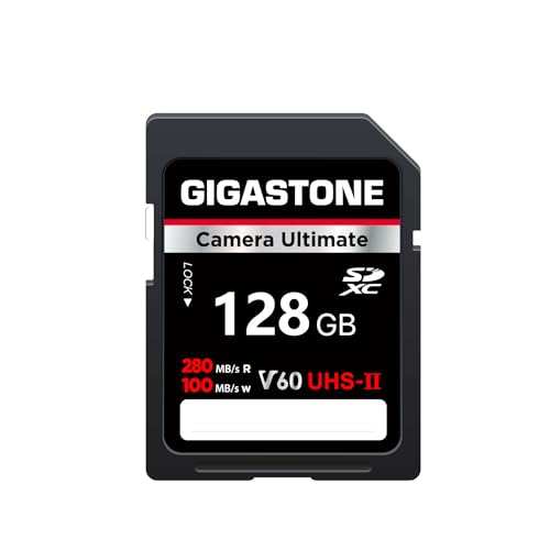 GIGASTONE SDカード 256GB メモリーカード A1 V30 U3 Amazon.co.jp: GIGASTONE SDカード 1TB V30 U3 SDXC 超高速