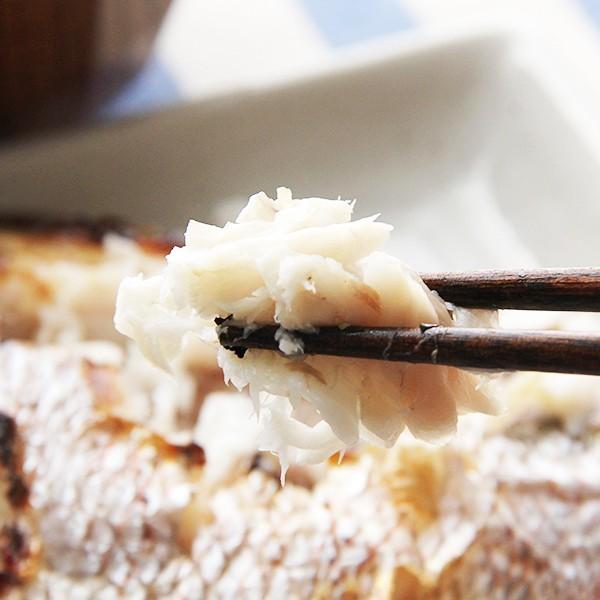 明石鯛の灰干し 1