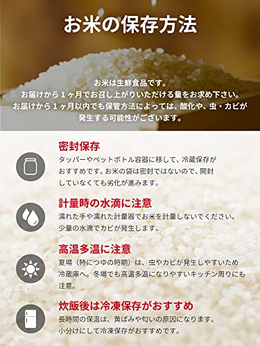 無洗米 長野県産コシヒカリ 流るる 8