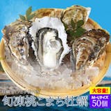 冷凍牡蠣のおすすめ人気ランキング【2026年8月】 5