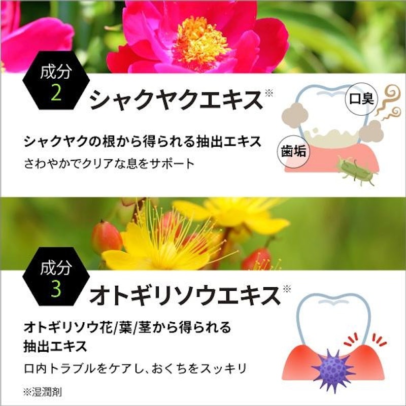 オーラプロ 薬用歯磨き ジェル 5
