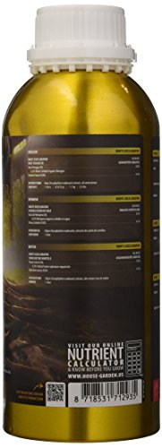 Roots Excelurator Gold 2