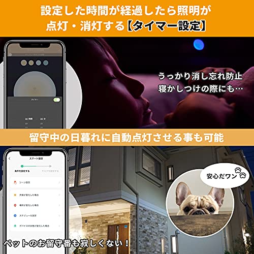 スマート LED電球 マルチカラータイプ 8