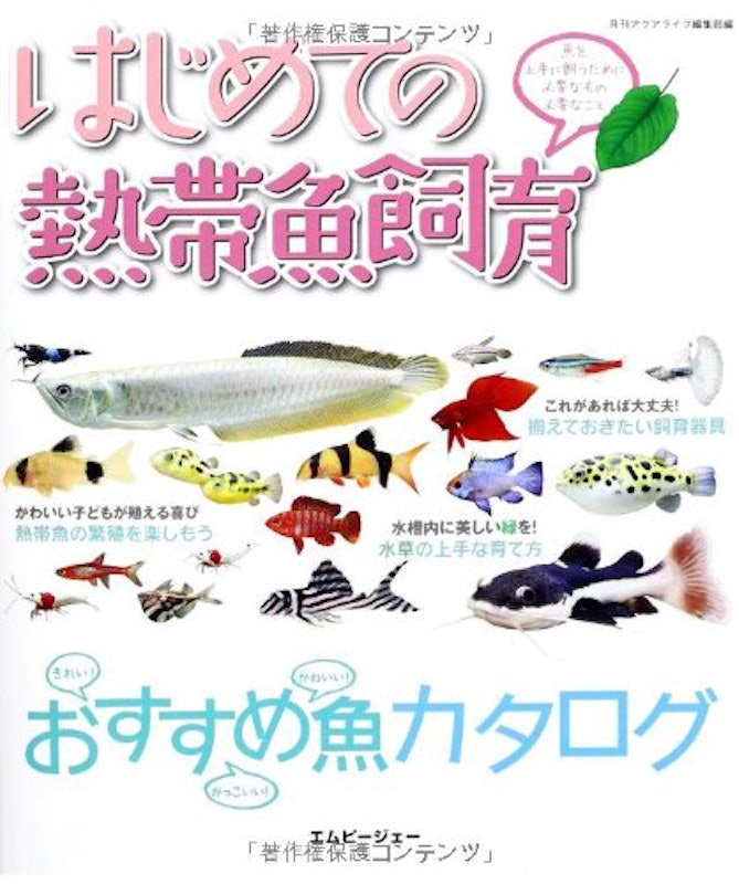 はじめての熱帯魚飼育 1