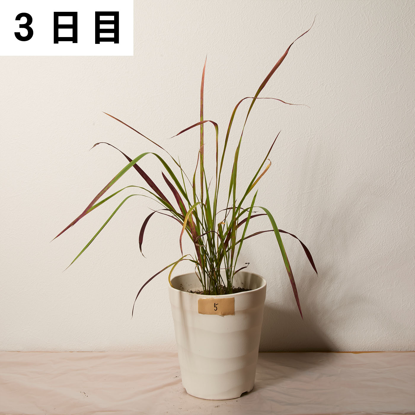 一刀両断 14