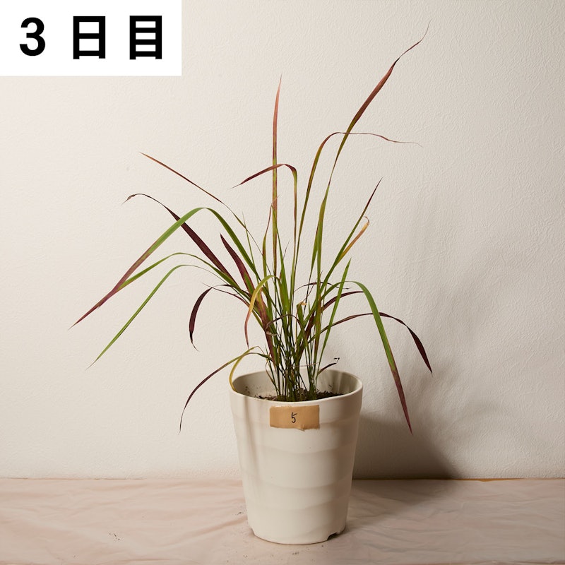 一刀両断 14
