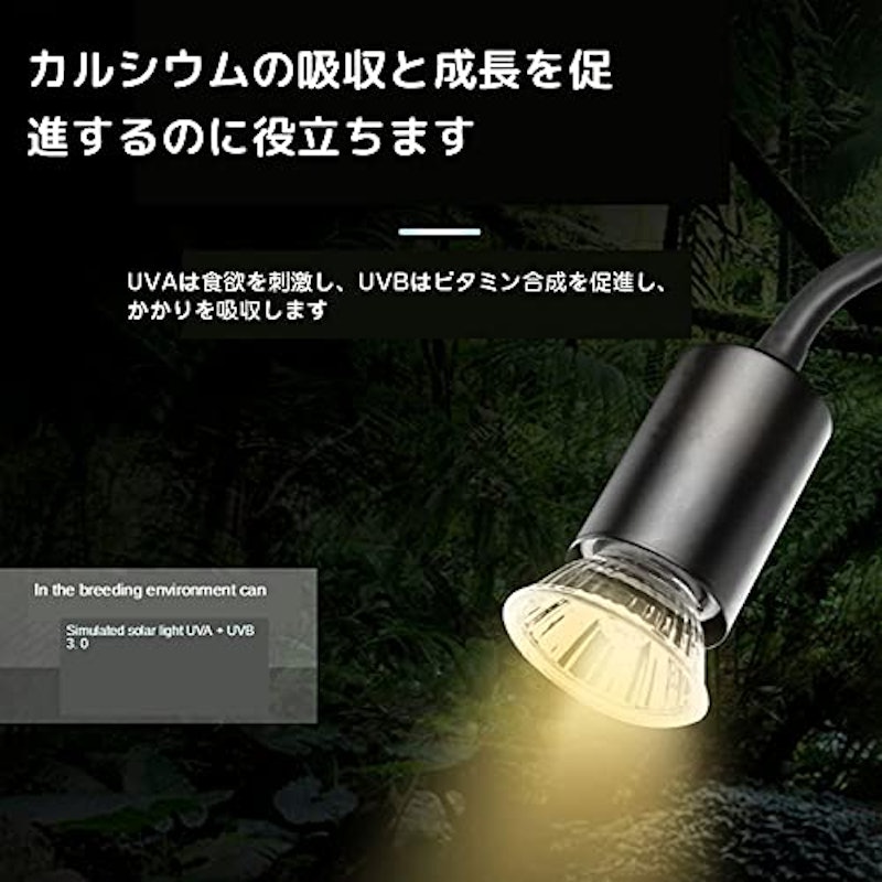 爬虫類ライト 4