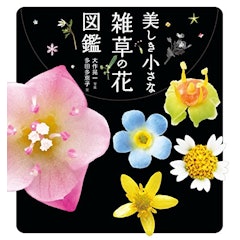 22年 花図鑑のおすすめ人気ランキング選 Mybest 22年 花図鑑のおすすめ人気ランキング選 Mybest