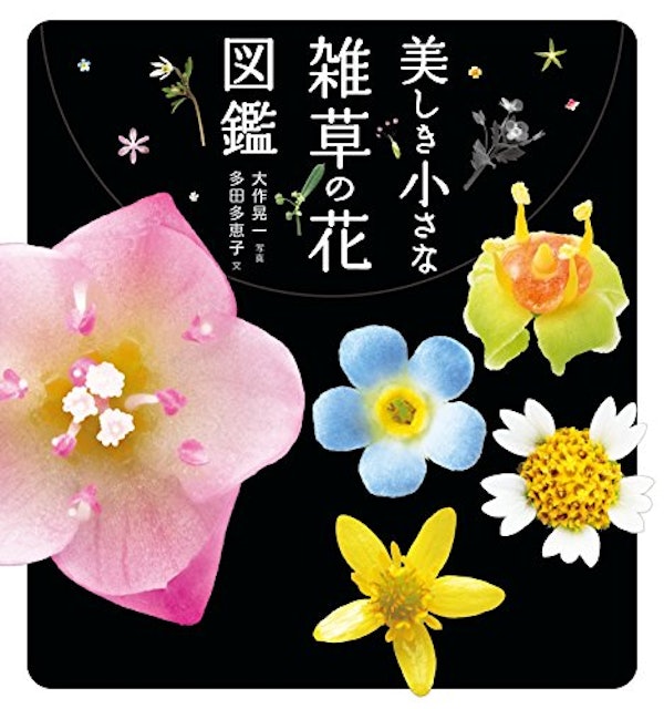 21年 植物図鑑のおすすめ人気ランキング15選 Mybest 21年 植物図鑑のおすすめ人気ランキング15選 Mybest
