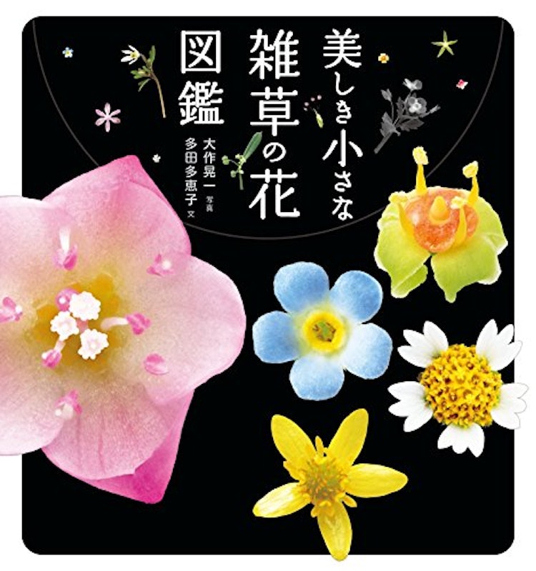 美しき小さな雑草の花図鑑 1