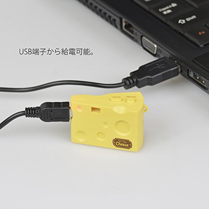 トイカメラ DSC Pieni Cheese 4